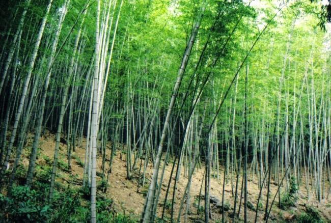 北橫之星 Taoyuan Eksteriør bilde